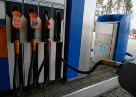 Фотография из галереи