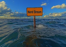 Фотография из галереи