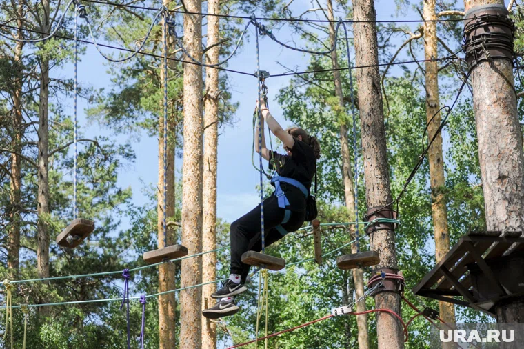 В веревочном парке есть трассы разной сложности 