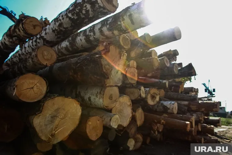 Проект открытия деревообрабатывающего производства в Нижних Аремзянах пугает местных жителей