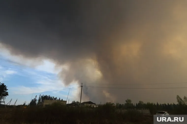 Горимости леса присвоен четвертый класс опасности