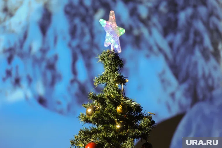 Первое мероприятие на кремлевской елке состоится 25 декабря