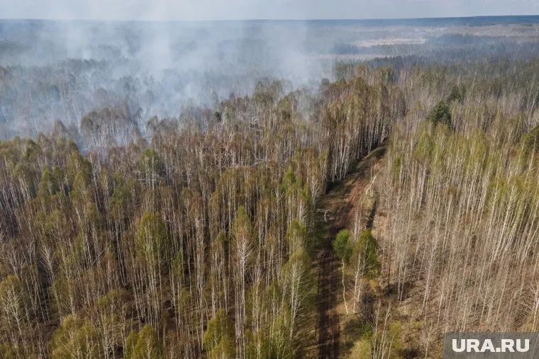 Организация будет заниматься природоохранной деятельностью