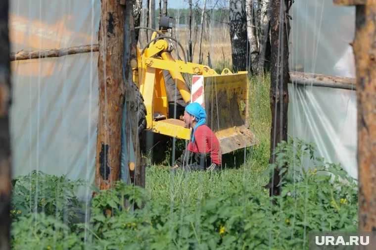 За день силовиками проверено 54 мигранта, работающих на тепличных хозяйствах