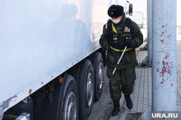 В Курганскую область не пустили партию фиников без маркировки