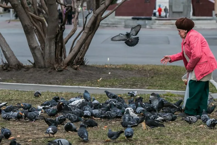 Разное. Курган, пенсионерка, голуби, бабушка, кормление птиц