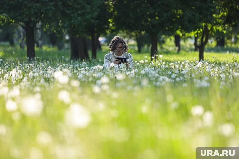 Вероятно, теплая погода задержится надолго
