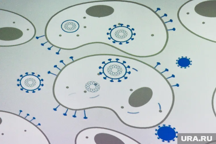 Если от вируса бешенства не защититься, он гарантированно убьет 