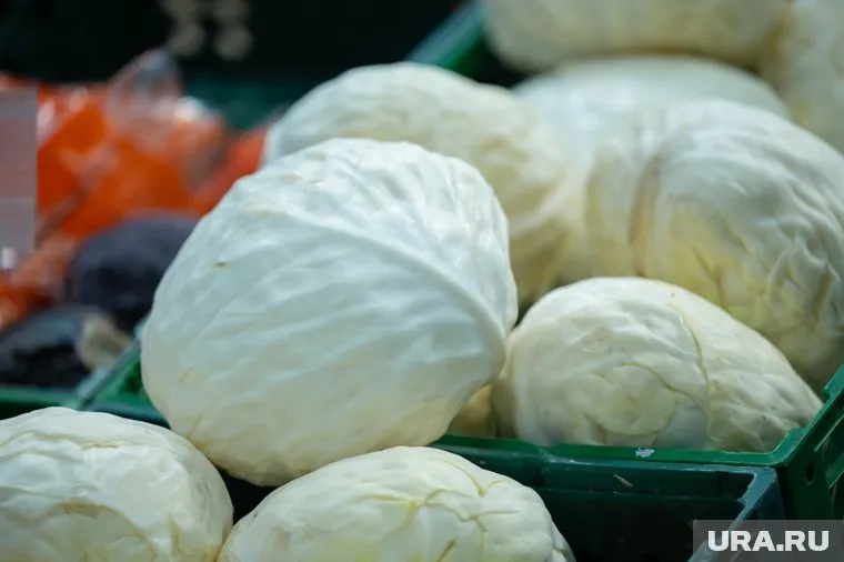 Растительная продукция отправлена из региона в 18 стран