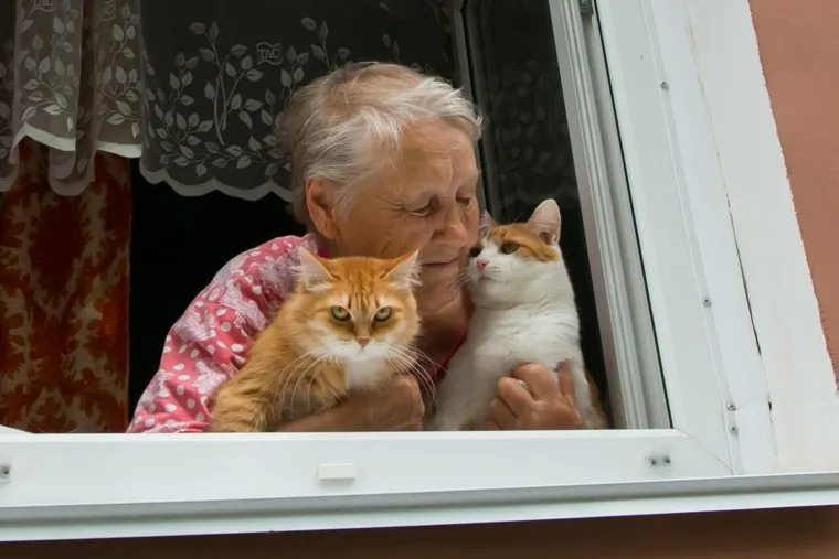 Клипарт, разное. Курган
