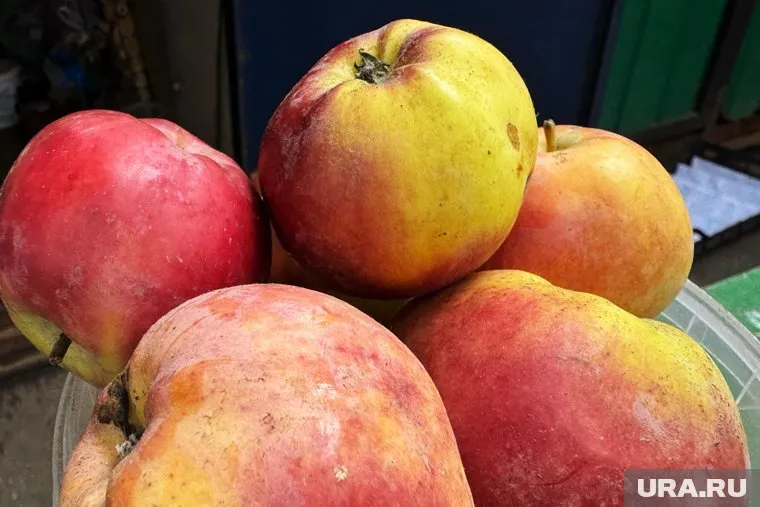 Часть ящиков с яблоками оказалась раздавлена