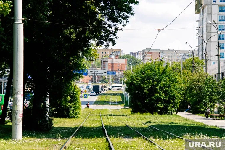 Теплая погода ожидается всю неделю