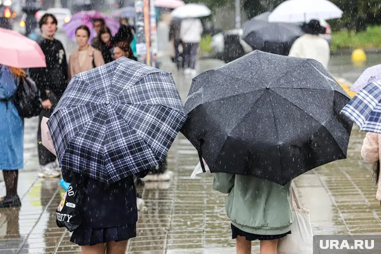 В Москве и Петербурге пройдут дожди в ближайшие выходные