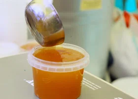 Как правильно есть мед для здоровья организма: 5 важных правил