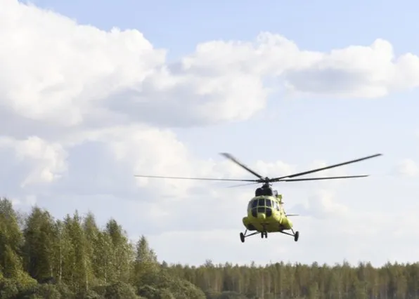 Фотография из галереи