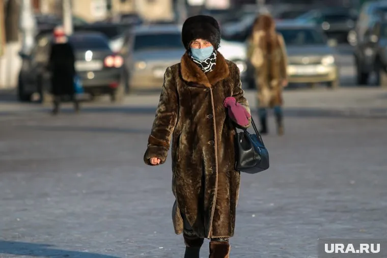 В Кургане вводят карантин