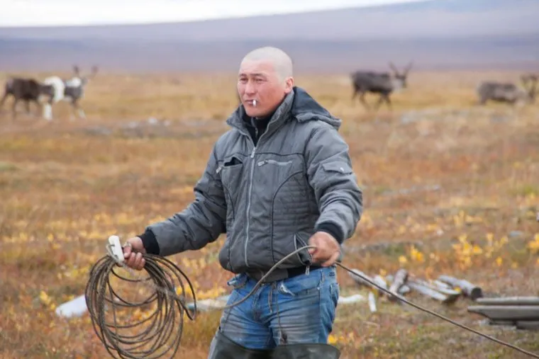 Досрочное голосование оленеводов. ЯНАО. Ямал. Салехард, оленевод, кмнс, абориген