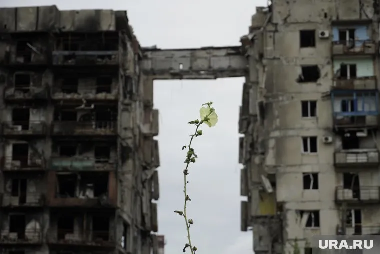 Жители укрывались в подвалах разрушенного города