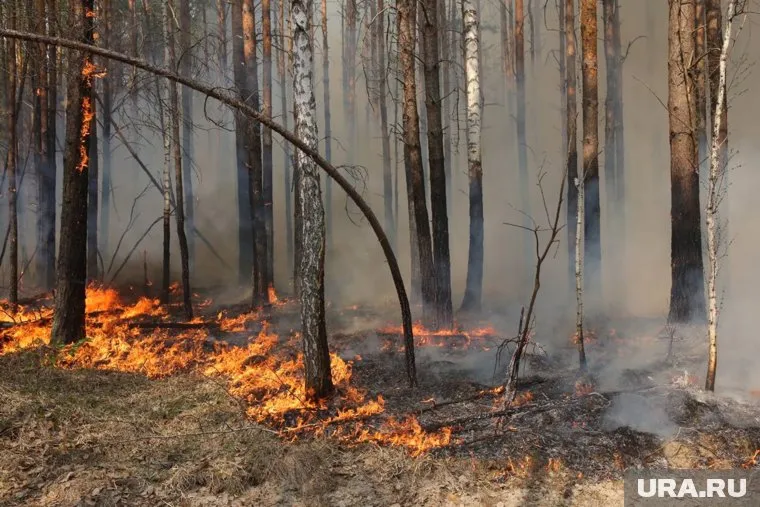 В ХМАО действует 15 лесных пожаров