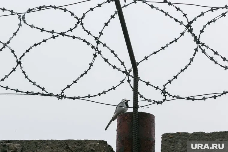 В колонии «Белый лебедь» сидят самые опасные преступники России