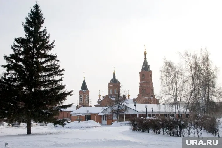 Инцидент произошел в храме Александра Невского
