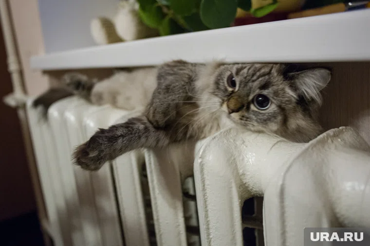 В Кургане 26 сентября тепло пришло в 143 учреждения