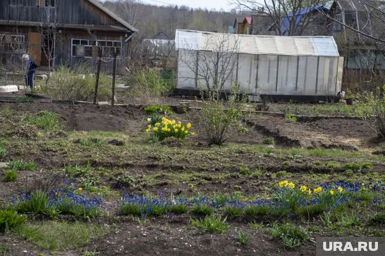 Многие пермяки майские праздники проводят на даче