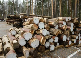 Нужно все изучить: суд отложил рассмотрение иска о банкротстве тюменского предприятия