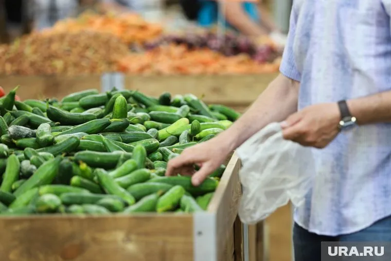 Среди овощей сильнее всего подорожали огурцы — на 65,6%