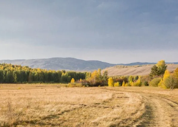 Фотография из галереи