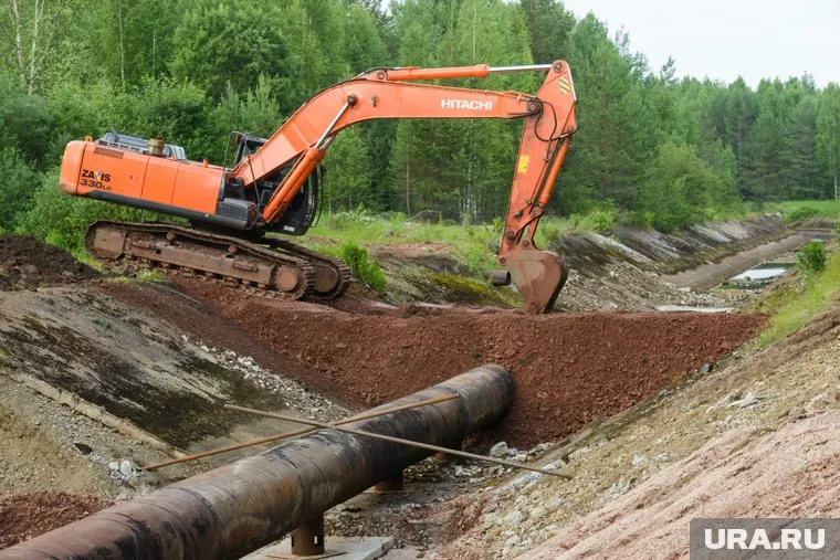 Жители Лабытнанги жалуются, что их лишили грибов из-за строительства водовода