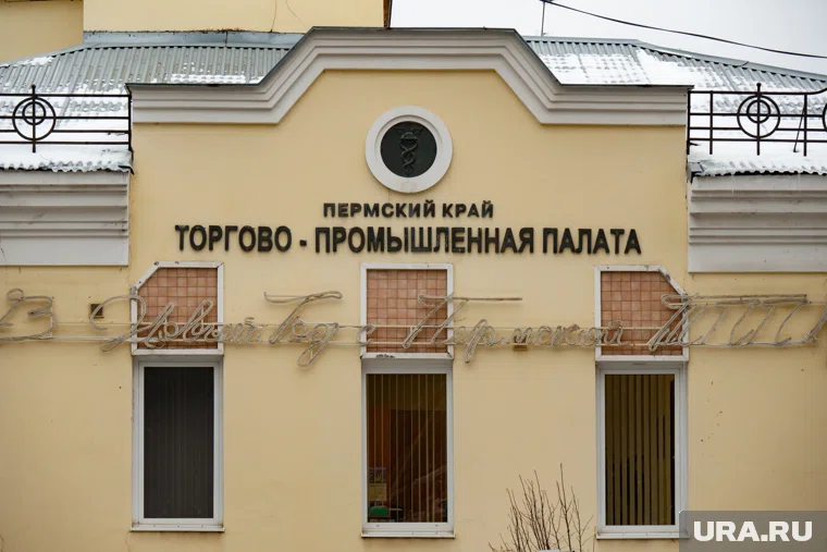 В краевой орган вошли 24 новых участника