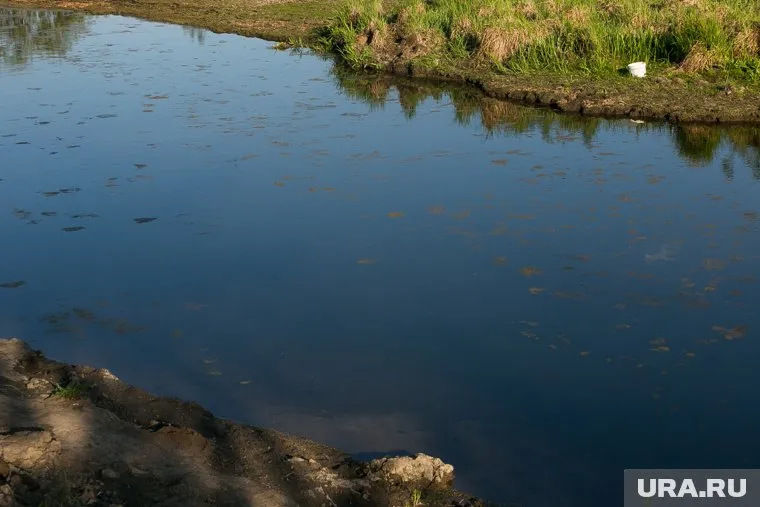 Маленькую девочку унесло течением во время отдыха у воды