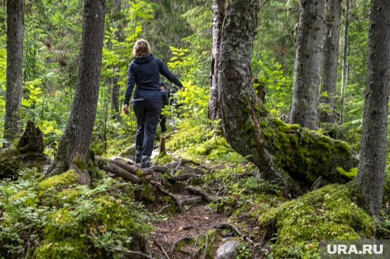Ребят ищут сотни сотрудников полиции, МЧС и волонтеров (архивное фото)