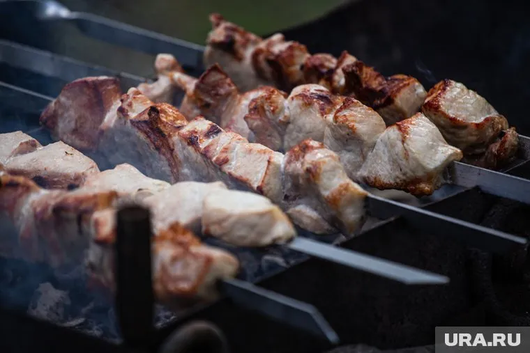 Рестораторам предложили заменить мангалы на электрооборудование