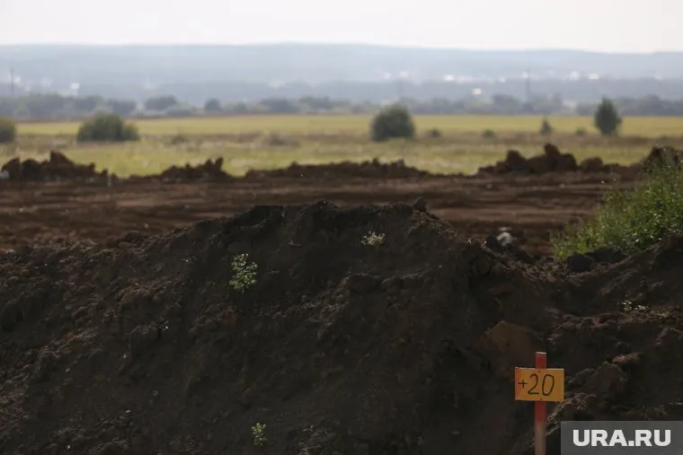 Земельные участки площадью более 55 га продают за 48 млн рублей (архивное фото)