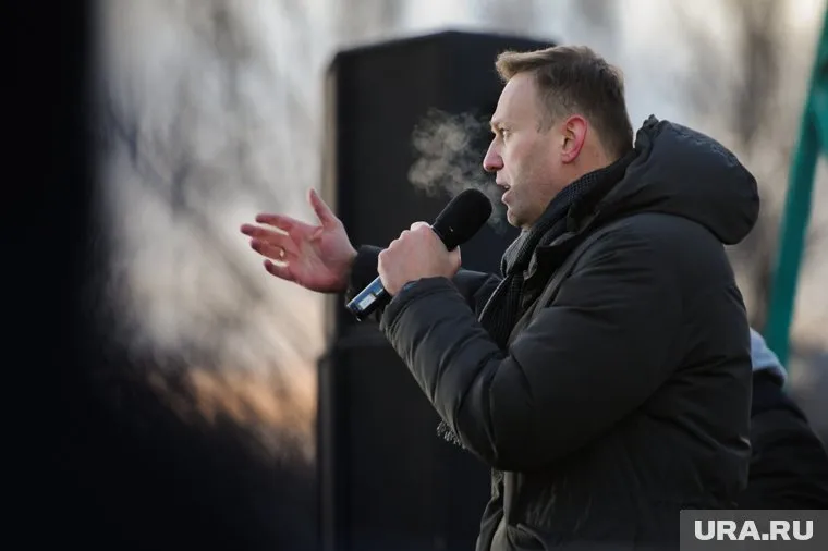 Навальный считает, что обвинения Золотова выглядят смешно