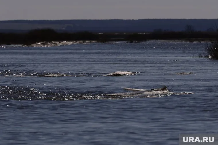 Тело девушки нашли в реке (архивное фото)