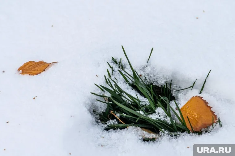 Дневная температура в Свердловской области будет на уровне от -4 до -9 градусов