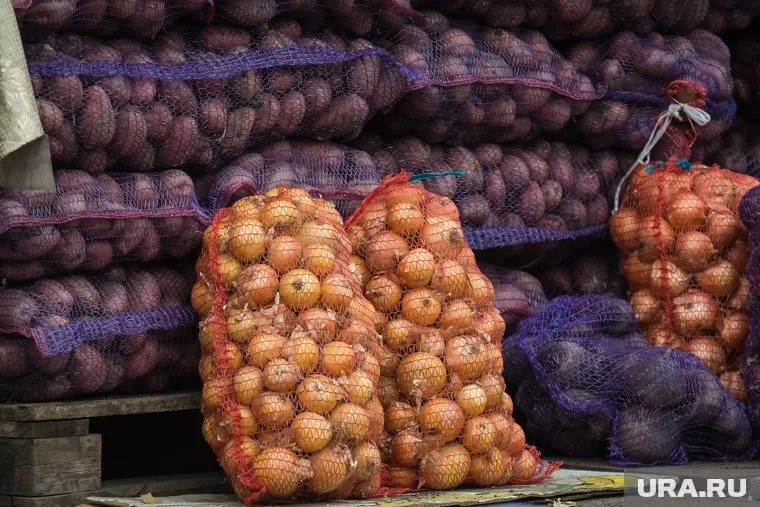 Лук в ЯНАО подорожал на 12 рублей за кг