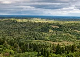 В отряде «ЛизаАлерт» рассказали, как не заблудиться в свердловских лесах