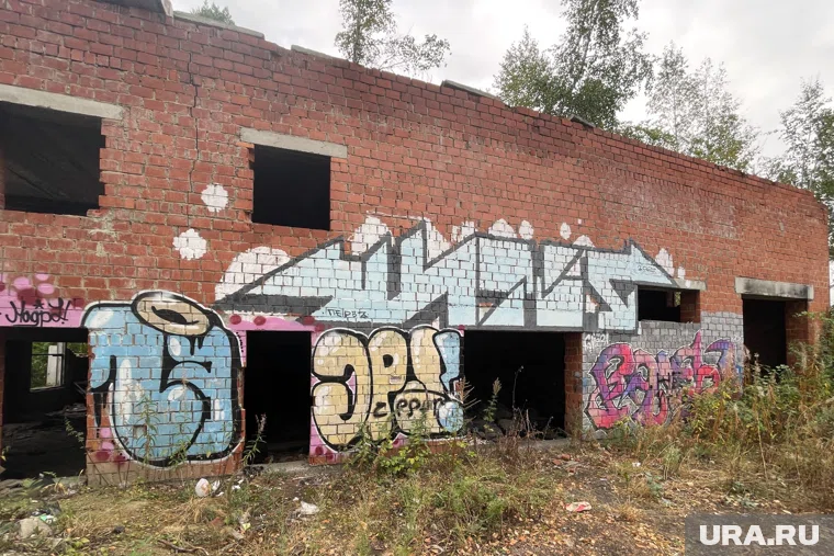 Руины в челябинском бору изучат эксперты