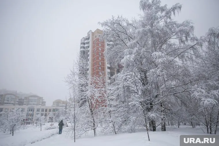 В Московской области выпало рекордное количество осадков спустя 123 года
