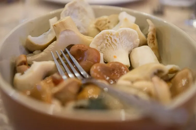 Встреча фермеров. Екатеринбург, закуска, еда, гриб