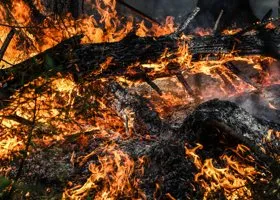 Прокуратура сообщила о причинах пожара в центре Екатеринбурга