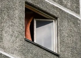В Челябинске летучая мышь залетела в квартиру