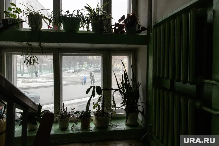 Дом на проспекте Космонавтов, где женщина ударила сына. Екатеринбург 