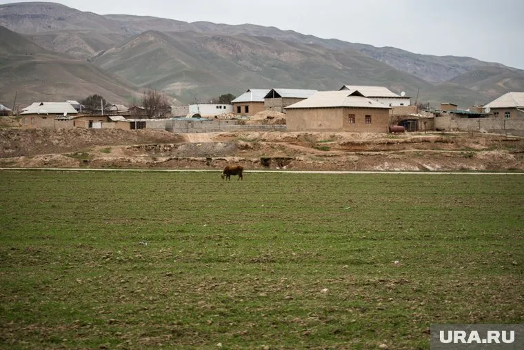 Глава ЦРУ тайно встретился в Кабуле с представителем талибов