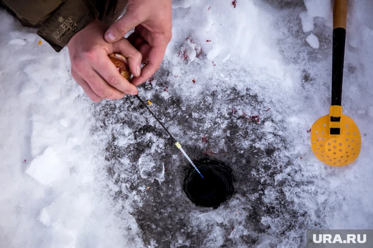 Курганец рыбачил на реке Тобол