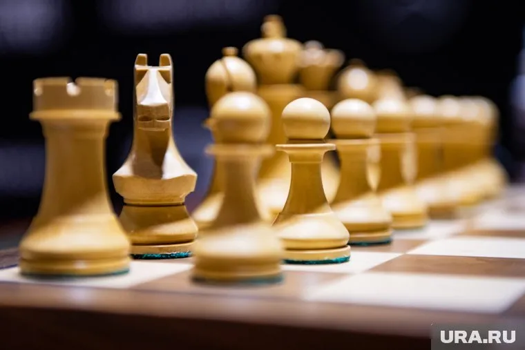 Силовики подозревают Наталью Залевскую в коррупционных схемах